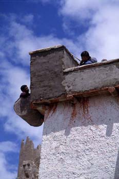 Albañiles trabajando sin andamio, Ladakh, India