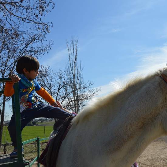 GRANJA ESCUELA ALBITANA 24