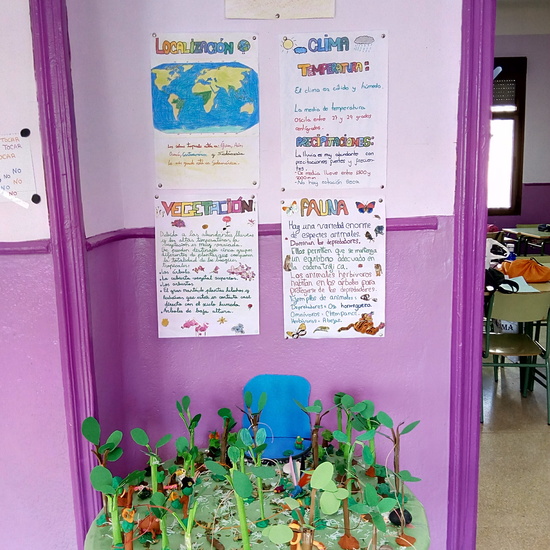 ECOSISTEMAS 5º CURSO 18