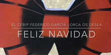 Navidad FGL 2019