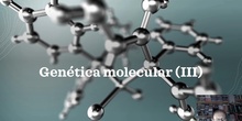 Tema 5 Genética molecular (III)