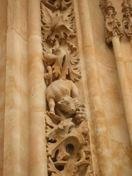 Detalle de la Catedral Nueva, Salamanca, Castilla y León