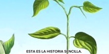 Poema Historia de una planta (con subtítulos)
