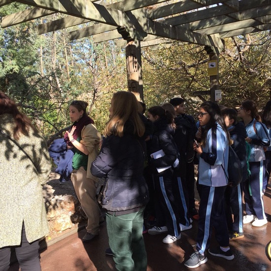 Faunia: taller y visita guiada 11