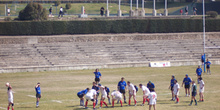 Partido de Rugby