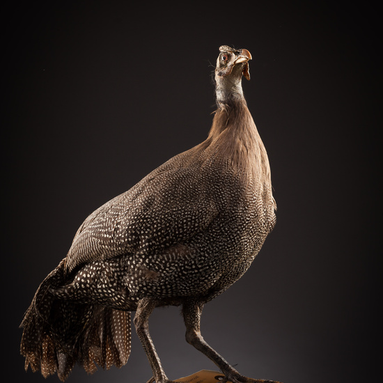 IES_SANISIDRO_BIOLOGIA_351