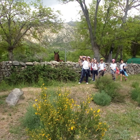 Camino de Santiago 3º EP 22