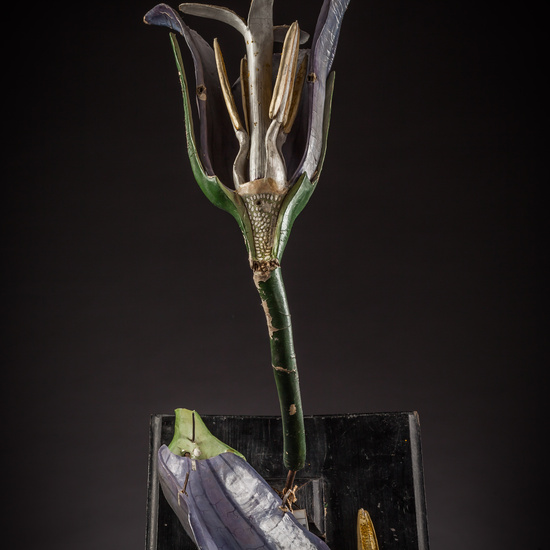 IES_ISABELLACATOLICA_BIOLOGIA_093