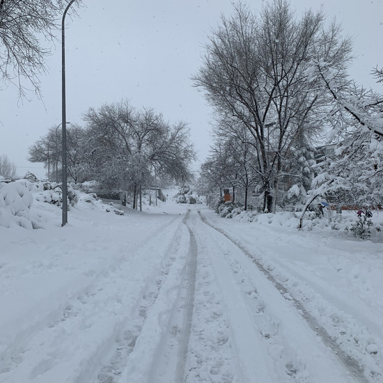 Fotografías Filomena 8