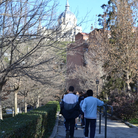 DÍA DE LA PAZ 2019 7