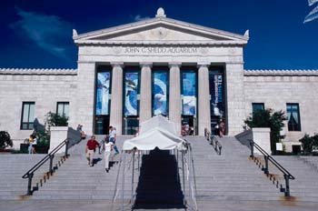 Acuario John Shedd de Chicago, Estados Unidos