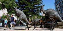 Perth: grupo escultórico de canguros, Australia