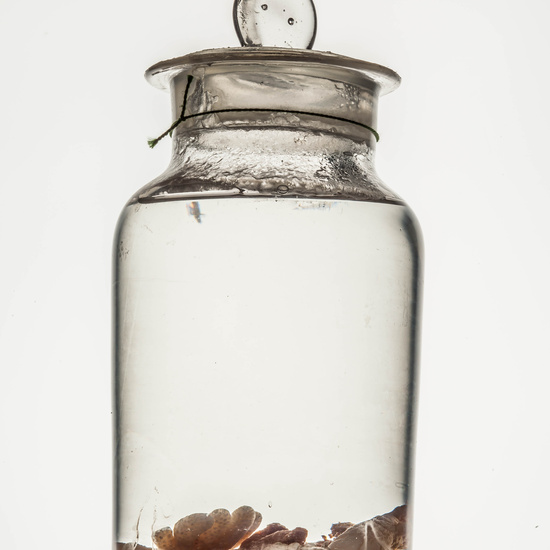 IES_CARDENALCISNEROS_CIENCIASNATURALES_038