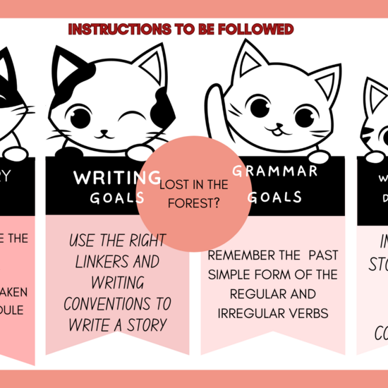 INSTRUCTIONS TO BE FOLLOWED