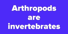 ARTHOPODS