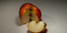 Manzana partida