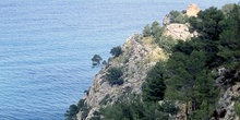Acantilado boscoso, Mallorca