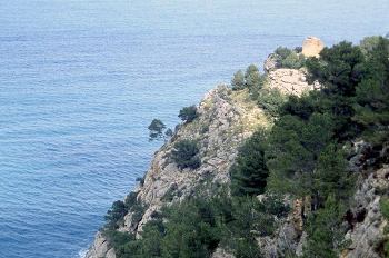 Acantilado boscoso, Mallorca