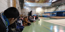 Gimnasia de trampolín