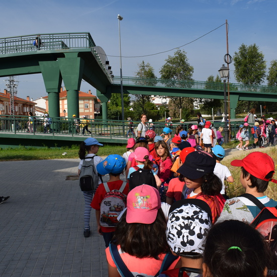 Siembra Huerta Balta 5 años 2018 6