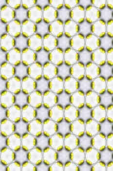 Estampado seriado del sépalo