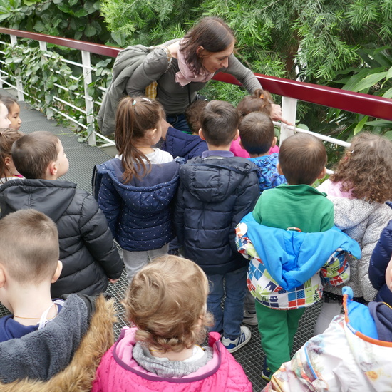 INVERNADERO DE ARGANZUELA 16