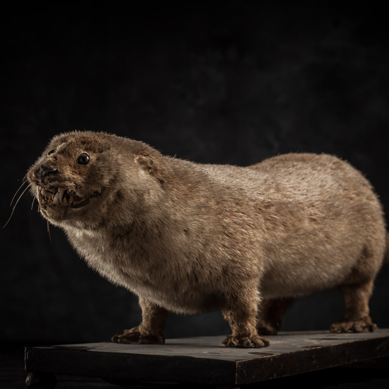 IES_SANISIDRO_BIOLOGIA_321