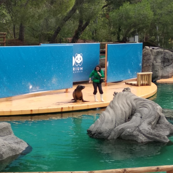 Visita al zoo 2019 7