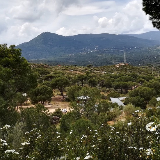 MULTIAVENTURA 5º  y  6º EP MAYO 2018 50