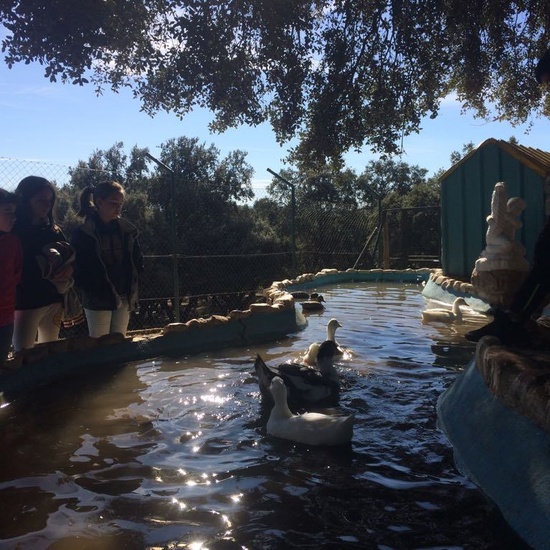 Mohernando 2017_3 30