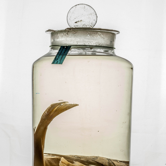 IES_CARDENALCISNEROS_CIENCIASNATURALES_332