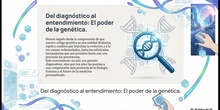 Vídeo resumen "Alteraciones genéticas" 4º ESO, Biología