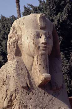 Coloso de Ramses II, Menfis