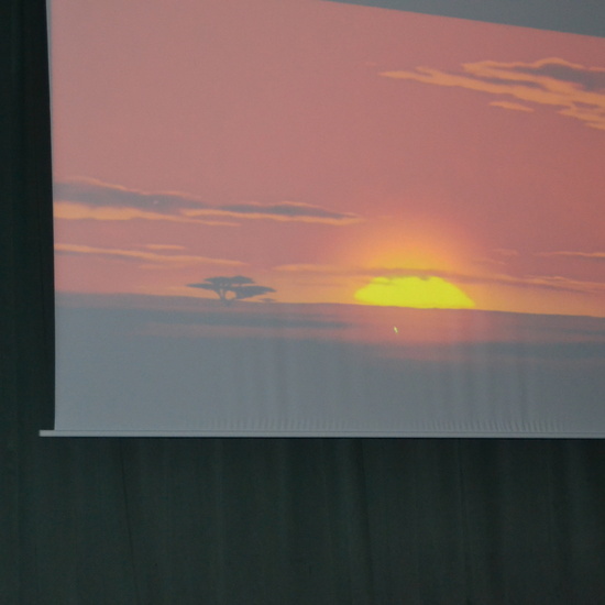 Día de los abuelos 2019 10