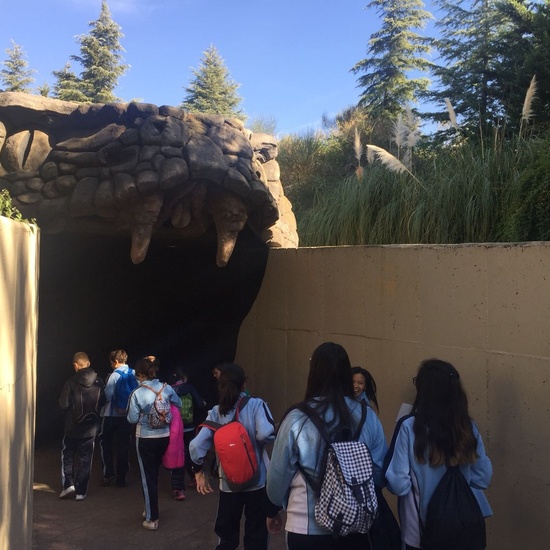 Faunia: taller y visita guiada 3