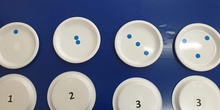 Platos de subitización 1
