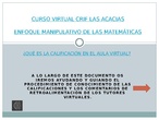 AYUDA AL PROCESO CALIFICADOR DEL AULA VIRTUAL