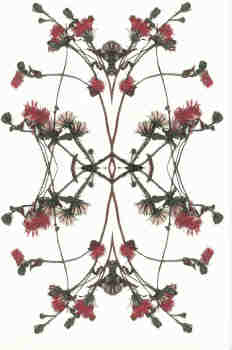 Composición en azules y rojos