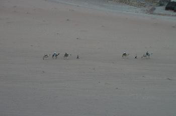 Hombres con camellos en el desierto Wadi Rum, Jordania