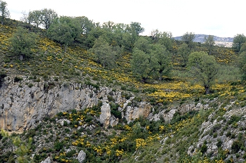 Paisaje en los alrededores del Barranco de Otín, Huesca