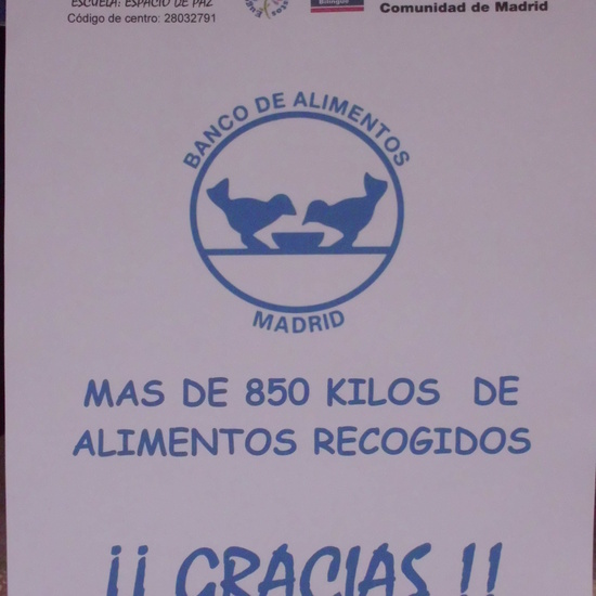 GRAN RECOGIDA DE ALIMENTOS 2