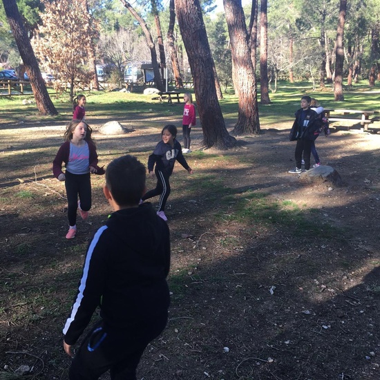 2020_02_27_3º visita Insectpark (1)_CEIP FDLR_Las Rozas 19