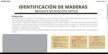 Identificación de maderas