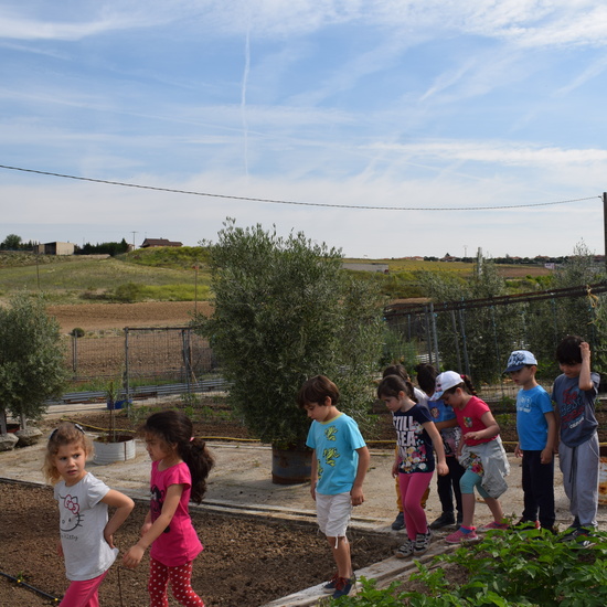 Siembra Huerta Balta 5 años 2018 22