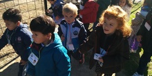 2016_inf 4 años a visita la granja 19