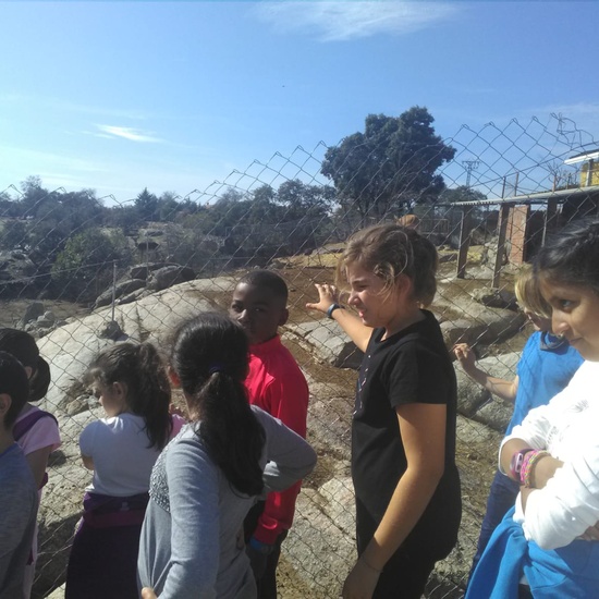 NOCHE MÁGICA 2019 (1ª parte) 36