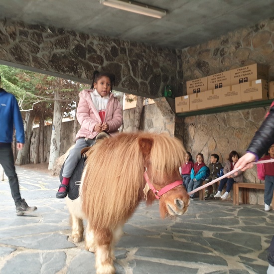 Excursión a la granja (Infantil) 8