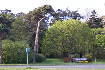 Parque Beacon Hill, Victoria