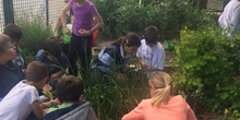 2019_05_Los alumnos de 4º en el Huerto_CEIP FDLR_Las Rozas 24
