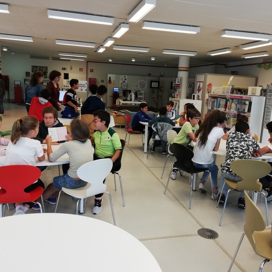 Visita Bilioteca 